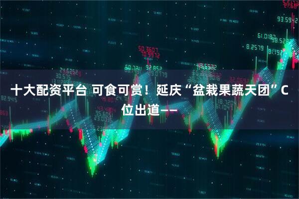 十大配资平台 可食可赏！延庆“盆栽果蔬天团”C位出道——